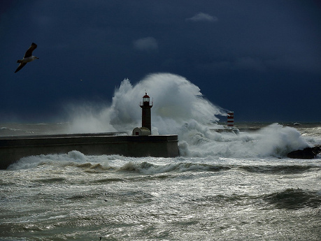 Stormy Sea José Moutinho459345